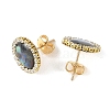 Paua Shell & Brass Stud Earrings for Women EJEW-JE07472-01-4