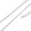 10 Skeins 12-Ply Metallic Polyester Embroidery Floss OCOR-Q057-A19-6