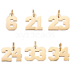 6Pcs 6 Style 316 Surgical Stainless Steel Charms STAS-UN0040-38G-1