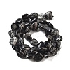 Natural Black Netstone Beads Strands G-B022-27C-4