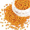 12/0 Glass Seed Beads SEED-R001-8-1