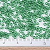 MIYUKI Round Rocailles Beads SEED-X0054-RR0173-4