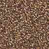 TOHO Round Seed Beads SEED-JPTR11-0268-2