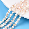 Natural Cultured Freshwater Pearl Beads Strands PEAR-N014-04D-1