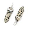 Natural Dalmatian Jasper Double Terminated Pointed Pendants G-D415-03-3