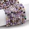 Natural Amethyst Beads Strands G-G189-D23-02-1