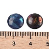 Natural Abalone Shell/Paua Shell Resin Cabochons X-SSHEL-K003-10MM-03-3