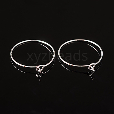 Silver Color Plated Brass Earring Hoops X-EC067-1S-1