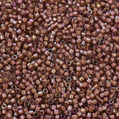 MIYUKI Delica Beads X-SEED-J020-DB1737-1