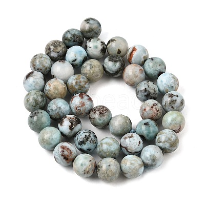 Natural Larimar Beads Strands GG-CBA19D6-A01-10mm-1