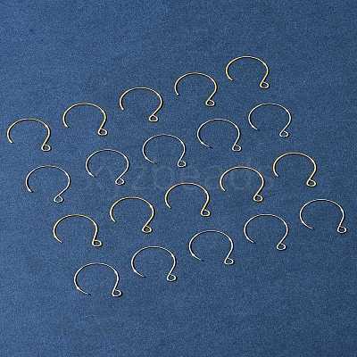 24Pcs 2 Colors Ion Plating(IP) 304 Stainless Steel Earring Hooks STAS-FS0001-65-1