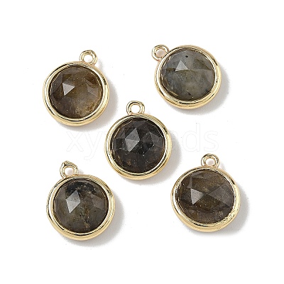 Natural Labradorite Faceted Flat Round Charms G-U028-03G-06-1