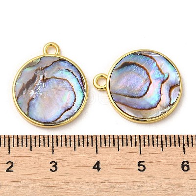 Natural Paua Shell Pendants KK-E059-12G-1