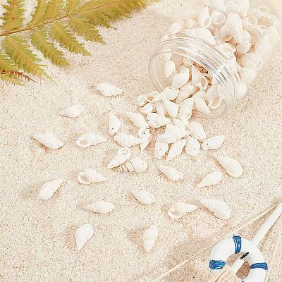 Natural Trumpet Shell Beads BSHE-SC0001-03-1