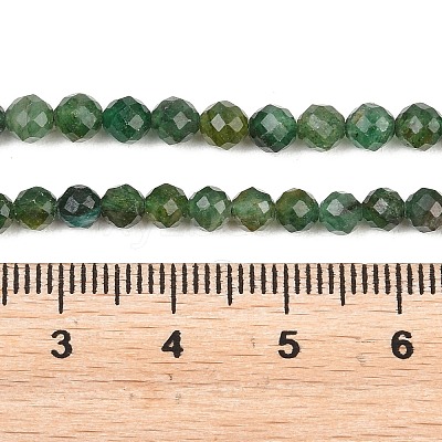 Natural Fuchsite Beads Strands G-RM250101-C33-1