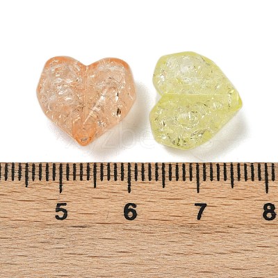 Transparent Crackle Acrylic Beads OACR-B031-09-1