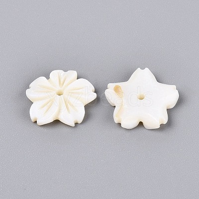 Natural Freshwater Shell Carved Beads SHEL-Q028-10-1