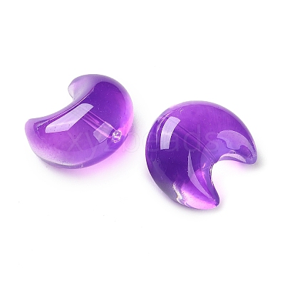 Baking Paint Transparent Glass Beads DGLA-F003-01L-1