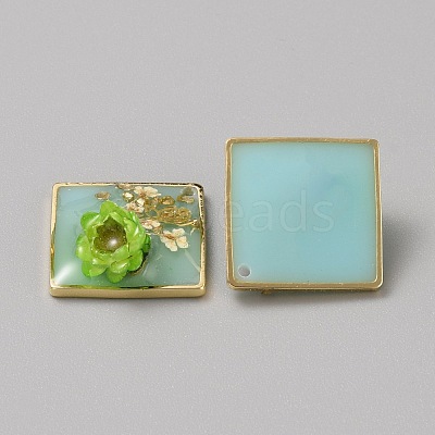 Resin Pendants RESI-TAC0010-96A-1