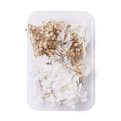 Dried Flowers DIY-D052-04-1