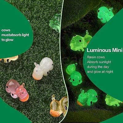30Pcs 5 Colors Luminous Resin Home Display Decorations RESI-SZ0003-23-1