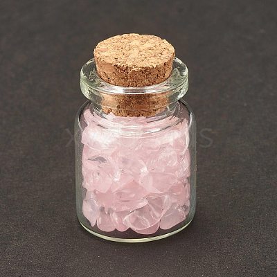 Transparent Glass Wishing Bottle Decoration DJEW-A001-01A-07-1