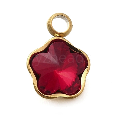 304 Stainless Steel Pendants STAS-Q346-02G-06-1