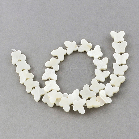 Natural Sea Shell Beads Strands X-SSHEL-Q296-38-1