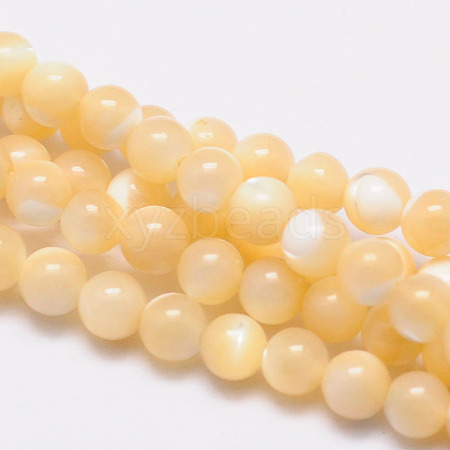 Natural Sea Shell Round Bead Strands SSHEL-M013-4mm-02-1