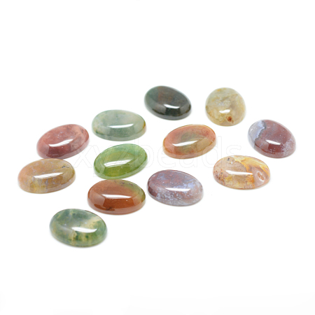 Natural Indian Agate Gemstone Cabochons G-T020-10x14mm-27-1