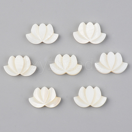 Natural Freshwater Shell Beads SHEL-S276-103-1