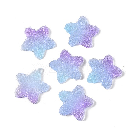 Imitation Candy Food Style Resin Cabochons X1-RESI-R461-02N-1