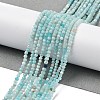 Natural Amazonite Beads Strands G-G189-D05-01-2