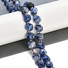 Natural Blue Spot Jasper Beads Strands G-B125-O02-01-2