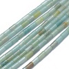 Natural Amazonite Beads Strands G-F631-B12-1