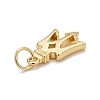 Rack Plating Eco-friendly Brass Charms KK-D076-01-3