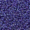 MIYUKI Round Rocailles Beads X-SEED-G007-RR1020-3