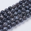 Natural Larvikite Beads Strands LS-G-G542-8mm-27-1