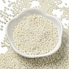 Baking Paint Glass Seed Beads SEED-P006-03A-06-2