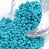 Baking Paint Glass Seed Beads SEED-US0003-2mm-K10-1