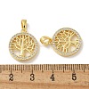 Brass Micro Pave Cubic Zirconia Pendents KK-R210-21G-01-3