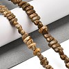 Natural Picture Jasper Beads Strands G-Q167-B14-01-2