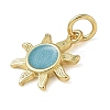 Rack Plating Brass Enamel Charms KK-K392-50G-04-2