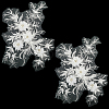 Polyester Acrylic Rhinestones Applique embroidery ABS Sequins FIND-WH20019-165A-04-1