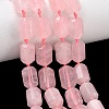 Natural Rose Quartz Beads Strands G-C270-N01-1