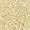 6/0 Transparent Colours Glass Seed Beads SEED-P006-01A-01-3