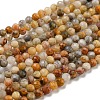 Natural Crazy Lace Agate Beads Strands G-K020-3mm-29-1