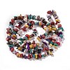 Natural & Synthetic Gemstone Chips Beads Strands G-L154-21-3