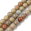 Natural Aqua Terra Jasper Beads Strands G-E444-14B-14mm-1