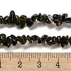 Natural Golden Sheen Obsidian Beads Strands G-G0003-B46-5
